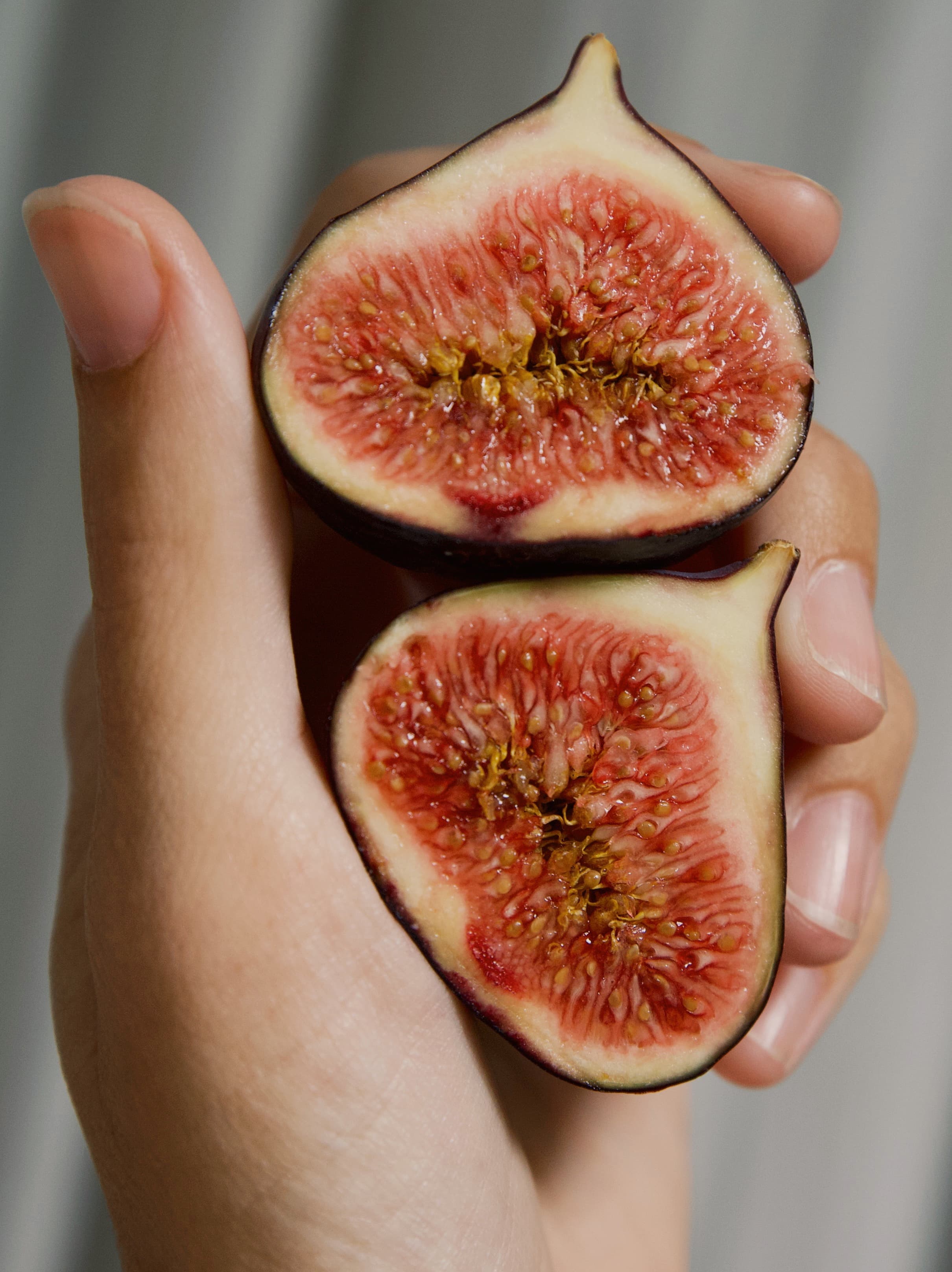 Velvet Fig